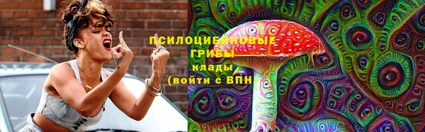 твердый Алексин